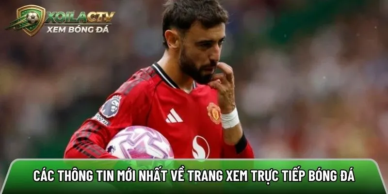 Các thông tin mới nhất về trang xem trực tiếp bóng đá