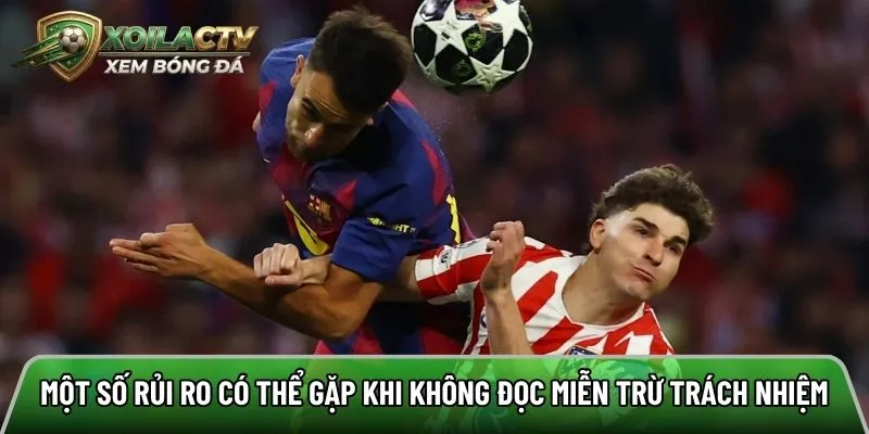 Một số rủi ro có thể gặp khi không đọc miễn trừ trách nhiệm