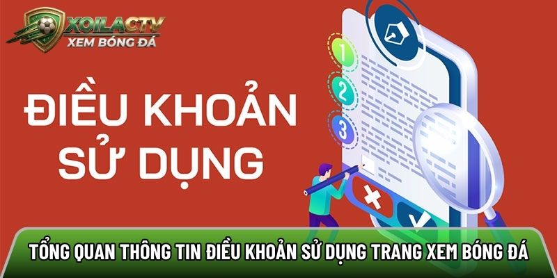 Khái quát sơ lược về điều khoản sử dụng trang xem bóng đá